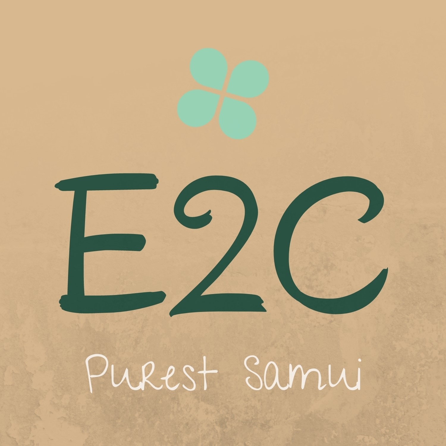 E2C